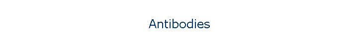 Antibodies