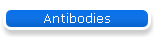 Antibodies