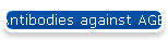 Antibodies against AGEs-modified protein and AGE receptor