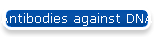 Antibodies against DNA Damage