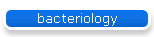 bacteriology