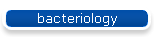bacteriology