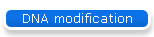 DNA modification