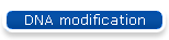 DNA modification