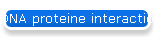 DNA proteine interaction