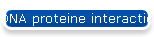 DNA proteine interaction
