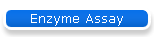 Enzyme Assay