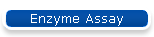 Enzyme Assay