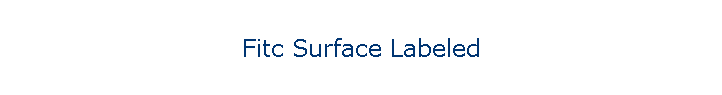 Fitc Surface Labeled