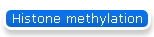 Histone methylation