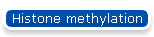 Histone methylation