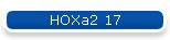HOXa2 17