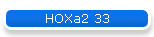 HOXa2 33