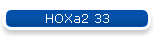 HOXa2 33