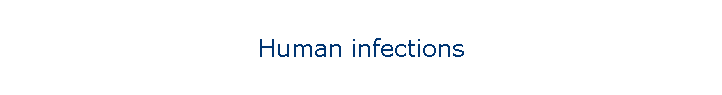 Human infections