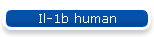 Il-1b human