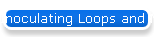 Inoculating Loops and Needles