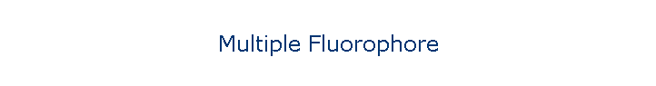 Multiple Fluorophore