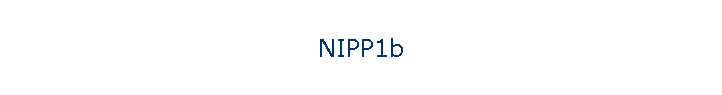 NIPP1b
