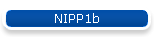 NIPP1b