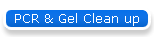 PCR & Gel Clean up