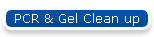 PCR & Gel Clean up