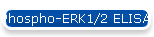 Phospho-ERK1/2 ELISA Assay Kit (Colorimetric)