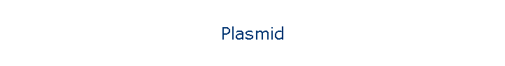 Plasmid