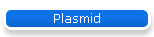 Plasmid