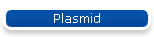 Plasmid