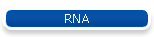 RNA