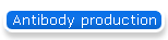 Antibody production