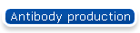 Antibody production