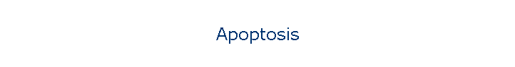 Apoptosis