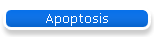 Apoptosis