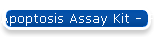 Apoptosis Assay Kit - FITC