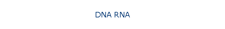DNA RNA