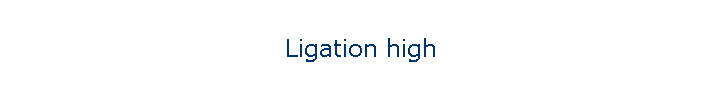 Ligation high