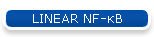 LINEAR NF-κB