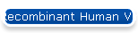 Recombinant Human Vimentin