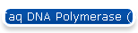 Taq DNA Polymerase (with dNTPs)