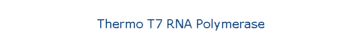 Thermo T7 RNA Polymerase