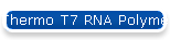 Thermo T7 RNA Polymerase